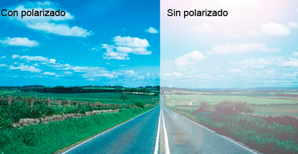 Diferencia entre lentes polarizadas y no polarizadas
