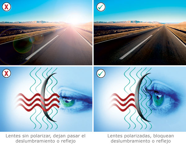 Diferencia entre lentes polarizadas y no polarizadas